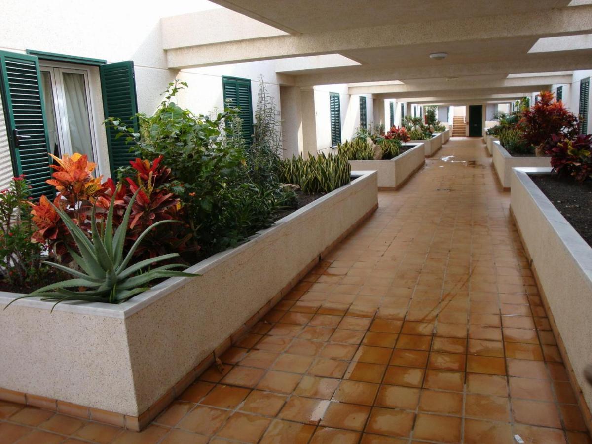 דירות אל מדאנו Apartamento Con Jardin Y Piscina En El Balancon מראה חיצוני תמונה