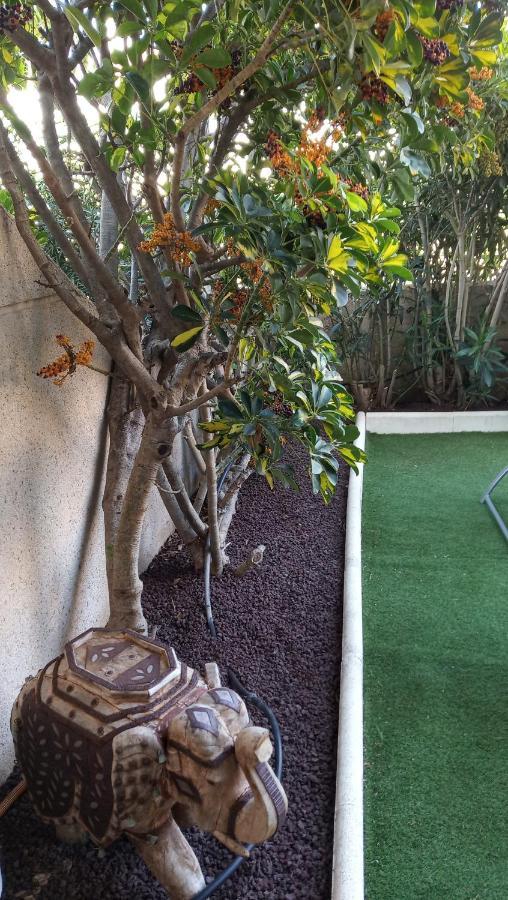 דירות אל מדאנו Apartamento Con Jardin Y Piscina En El Balancon מראה חיצוני תמונה